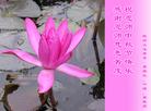 Published on 9/27/2004 		󷨵ӹףʦ֣ͼ
