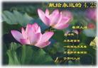 Published on 4/24/2005 		图片：献给4.25
