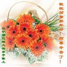 Published on 1/27/2006 ½󷨵ӹףʦũãһ