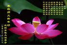 Published on 1/27/2006 ½󷨵ӹףʦũãһ