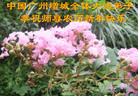 Published on 1/27/2006 大陆大法弟子恭祝师尊农历新年好（一）