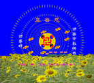 Published on 10/5/2006 ½󷨵ӹףʦ֣һ