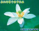 Published on 10/5/2006 ½󷨵ӹףʦ֣