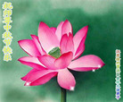 Published on 10/5/2006 ½󷨵ӹףʦ֣