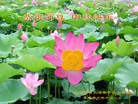 Published on 10/5/2006 ½󷨵ӹףʦ֣