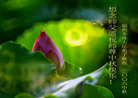 Published on 10/5/2006 ½󷨵ӹףʦ֣