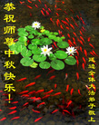 Published on 10/5/2006 ½󷨵ӹףʦ֣