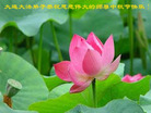 Published on 10/5/2006 ½󷨵ӹףʦ֣