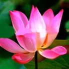Published on 10/5/2006 ½󷨵ӹףʦ֣