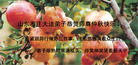 Published on 10/5/2006 ½󷨵ӹףʦ֣