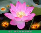 Published on 10/5/2006 ½󷨵ӹףʦ֣