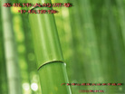 Published on 10/5/2006 ½󷨵ӹףʦ֣