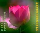 Published on 10/5/2006 ½󷨵ӹףʦ֣