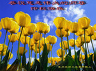 Published on 10/5/2006 ½󷨵ӹףʦ֣