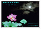Published on 10/6/2006 ½󷨵ӹףʦ֣ģ