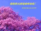 Published on 1/2/2007 大陆大法弟子恭祝师尊新年快乐（十一） 