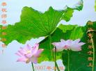 Published on 1/2/2007 大陆大法弟子恭祝师尊新年快乐（十一） 