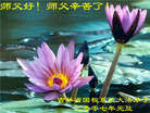 Published on 1/2/2007 大陆大法弟子恭祝师尊新年快乐（十一） 