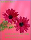 Published on 2/8/2013 ֹ,󷨵ӹףʦã12
