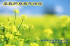 Published on 2/8/2013 ֹ,Ϋ󷨵ӹףʦã17
