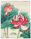 Published on 5/17/2012 ֹ,ѡǡʻ
