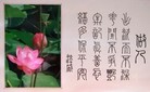 Published on 5/26/2012 ֹ,ѡǡ׭飺 - ִ
