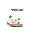 Published on 8/29/2003 VCD棺칫ϵж̾硷3СVCD̷