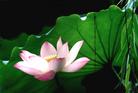 Published on 4/21/2005 		ͼƬ
