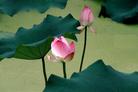 Published on 4/21/2005 		ͼƬ
