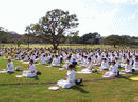 Published on 10/12/2001 105ղ˹-ũ԰ (Brisbane New Farm Park) 