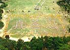 Published on 1/13/2001 800名法轮功学员在香港维多利亚公园集体炼功