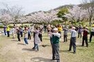 Published on 4/19/2012 法轮功,广岛樱花季节　传播法轮大法的美好（图） - 法轮大法明慧网
