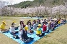 Published on 4/19/2012 法轮功,广岛樱花季节　传播法轮大法的美好（图） - 法轮大法明慧网

