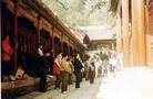 Published on 12/15/2003 历史照片：哈尔滨3万人晨炼；大法弟子戒台寺炼功
