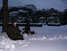 维也纳公园里炼功洪法的故事（图）