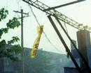 Published on 5/14/2001 ½ԣʦУ׳編ִ

