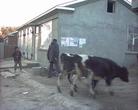 Published on 11/7/2002 ͼƬ½ĳشСϺפۿ