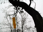 Published on 2/25/2006 ɽĳе