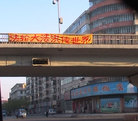 513 ĳĴɼ