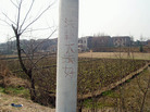 Published on 3/7/2007 մ½ۺϢ