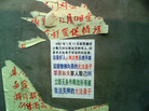Published on 3/9/2007 ¾մ½ۺϢ