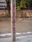 Published on 7/13/2007 ʮմ½ۺϢ