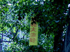 Published on 7/15/2007 ͼƬʡҵġִ󷨺á