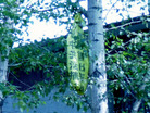 Published on 7/15/2007 ͼƬʡҵġִ󷨺á