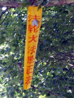 Published on 7/20/2007 ¶ʮմ½ۺϢ