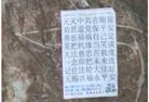 ¶ʮմ½ۺϢ