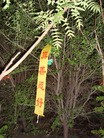 ֹ,ĳ編ִڼҳ