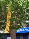 ֹ,ĳ編ִڼҳ