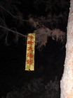 ֹ,ĳ編ִڼҳ