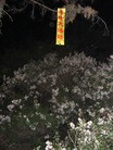 ֹ,ĳ編ִڼҳ